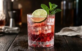Drink refrescante cítrico de hibisco com Refresco de limão Vilma